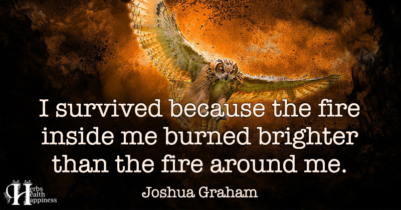 I Survived Because The Fire Inside Me Burned Brighter Than The Fire