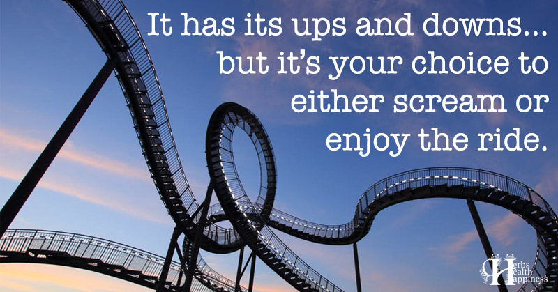 life-is-like-a-roller-coaster-eminently-quotable-inspiring-and