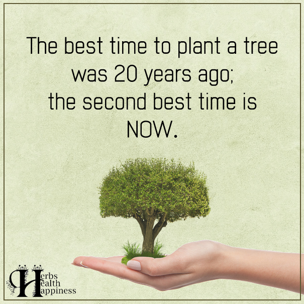 The Best Time To Plant A Tree  ø Eminently Quotable  Quotes  Funny
