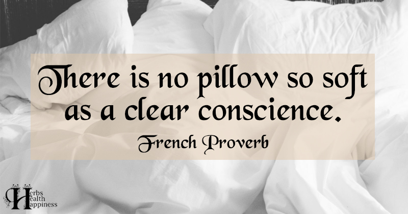 there-is-no-pillow-so-soft-as-a-clear-conscience-eminently-quotable