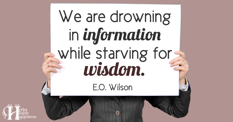 We Are Drowning In Information While Starving For Wisdom Eminently Quotable Quotes Funny