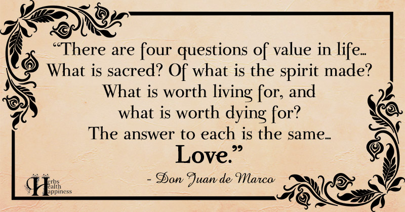 There Are Four Questions Of Value In Life ø Eminently Quotable Inspiring And Motivational