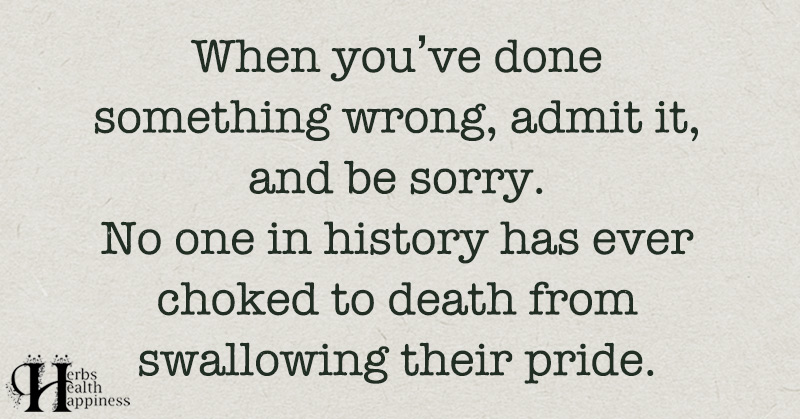 when-you-ve-done-something-wrong-admit-it-and-be-sorry-eminently