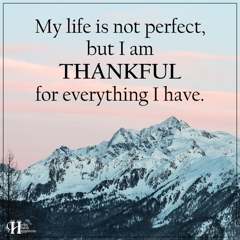 My Life Is Not Perfect Eminently Quotable Quotes Funny Sayings 