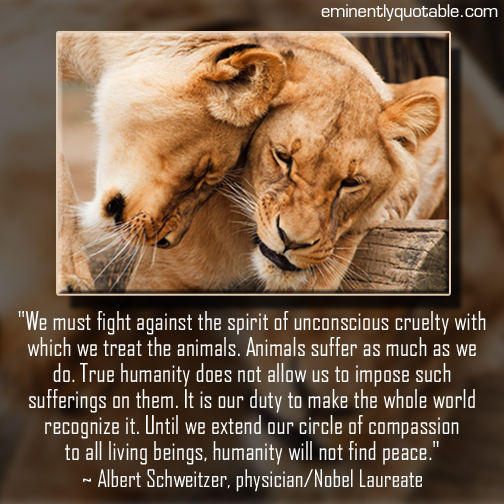 We must fight against the spirit of unconscious cruelty (animals)
