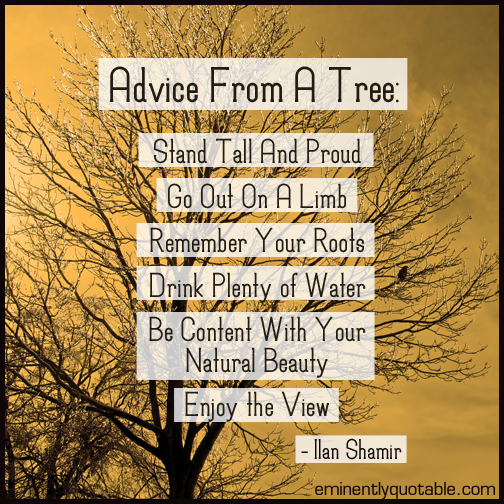 Advice From A Tree