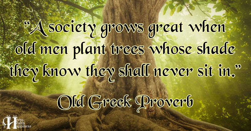 A Society Grows Great When Old Men Plant Trees - ø Eminently Quotable