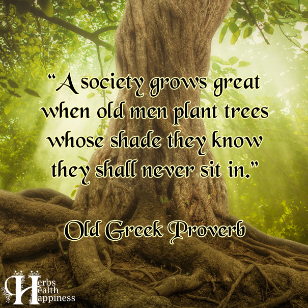 A Society Grows Great When Old Men Plant Trees
