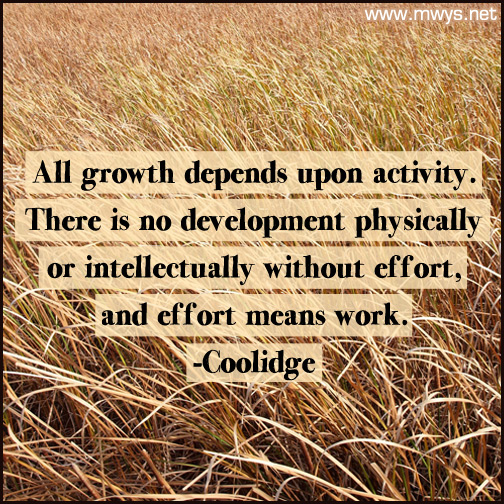 All-growth-depends-upon-activity