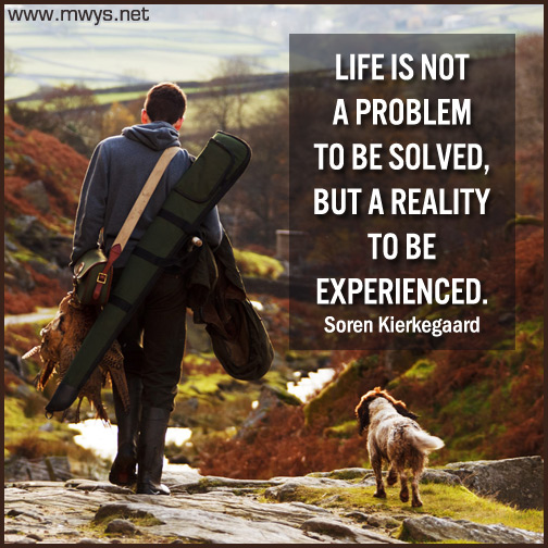 Life-is-not-a-problem-to-be-solved