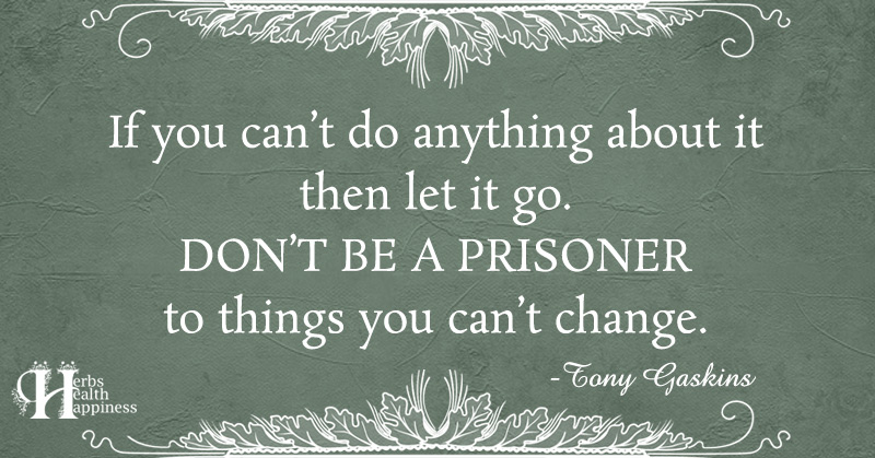 If You Can't Do Anything About It Then Let It Go - ø Eminently Quotable