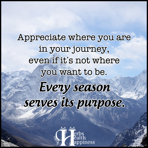 Appreciate-where-you-are-in-your-journey