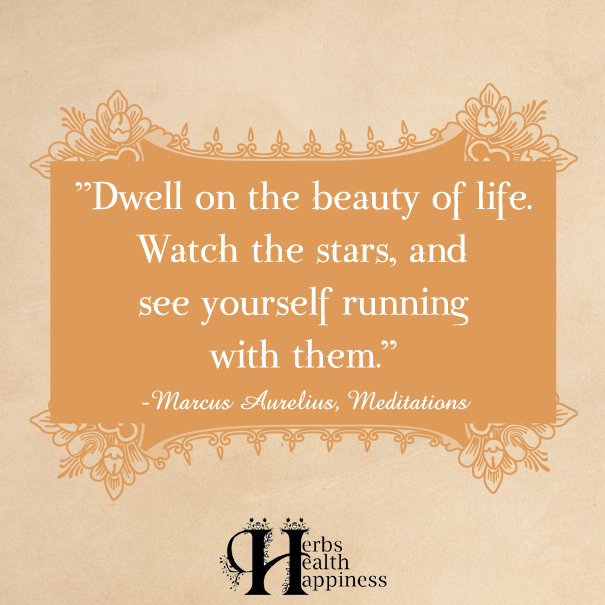 Dwell-on-the-beauty-of-life