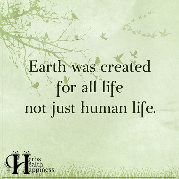 Earth Was Created For All Life Not Just Human Life