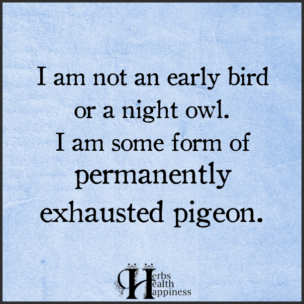 I Am Not An Early Bird Or A Night Owl