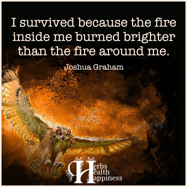 I survived because the fire inside me burned brighter than the fire around me