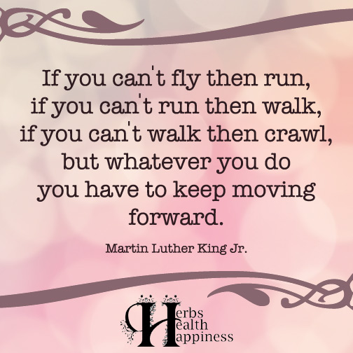 If you can't fly then run, if you can't run then walk