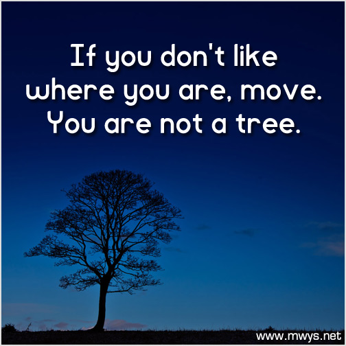If-you-don't-like-where-you-are,-move