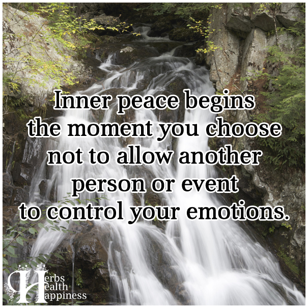 Inner-peace-begins-the-moment-you-choose