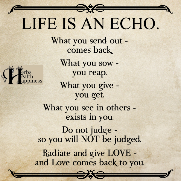 LIFE-IS-AN-ECHO
