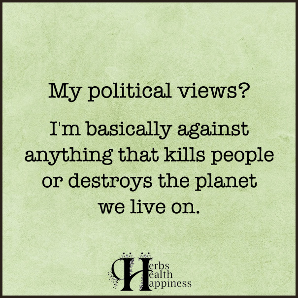 My-Political-Views