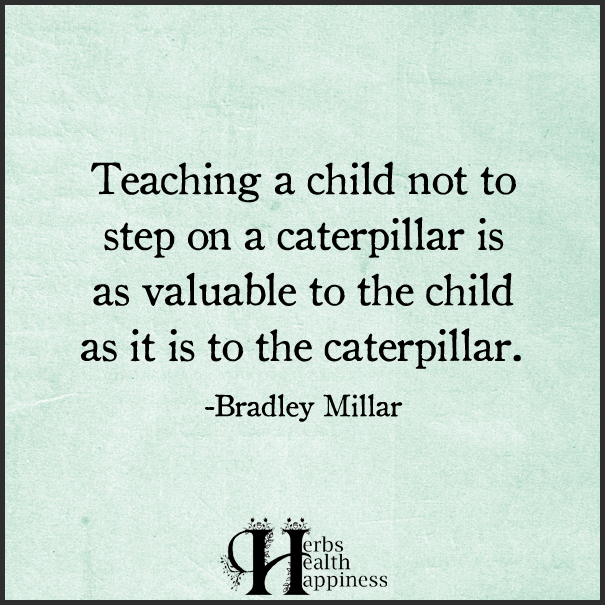 NEW - Teaching A Child Not To Step On A Caterpillar