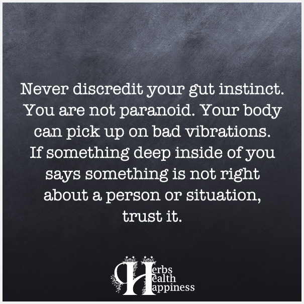 Never discredit your gut instinct. You are not paranoid
