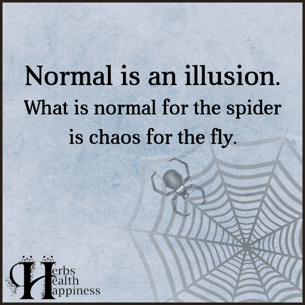 Normal-Is-An-Illusion