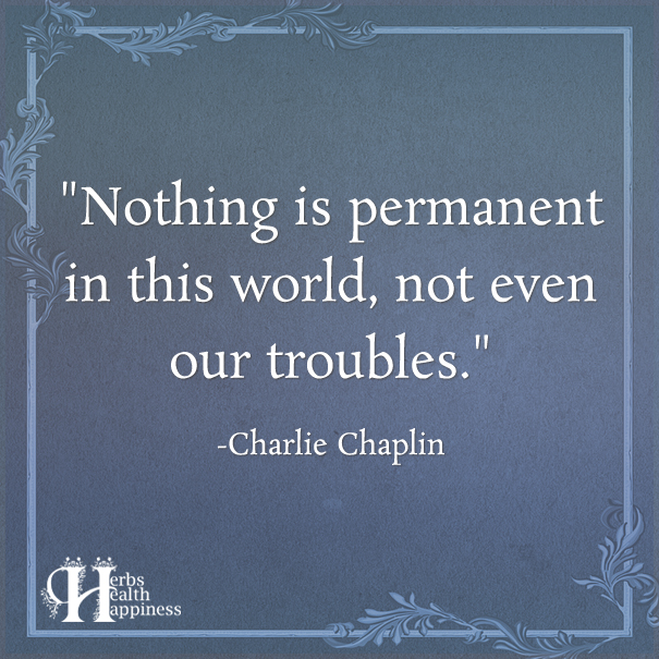 Nothing Is Permanent In This World