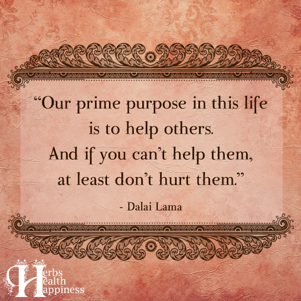 Our Prime Purpose In This Life