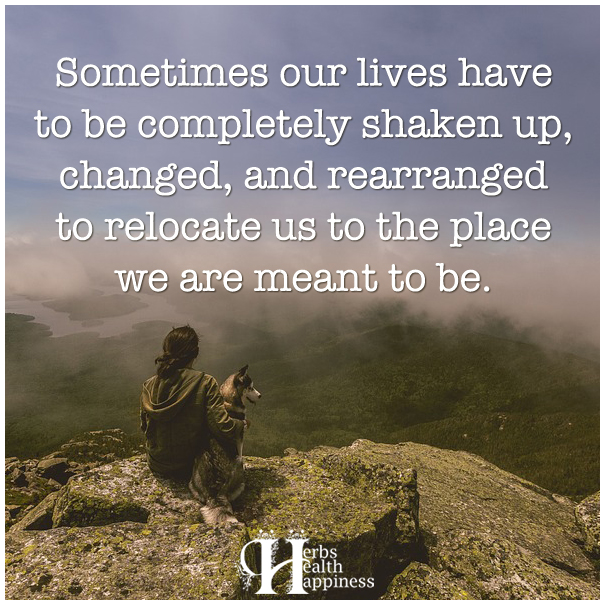 Sometimes-our-lives-have-to-be-completely-shaken-up