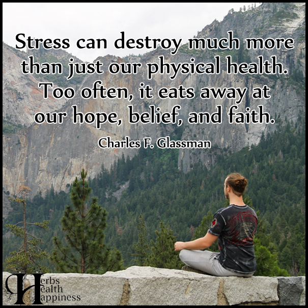 Stress-can-destroy-much-more-than-just-our-physical-health