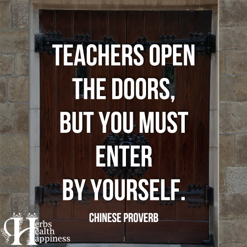 Teachers-open-the-doors,-but-you-must-enter-by-yourself