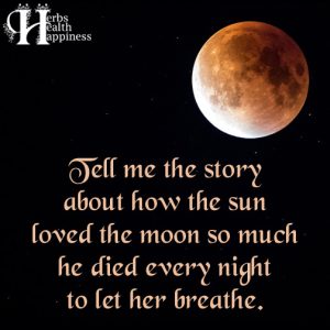 Tell Me The Story About How The Sun Loved The Moon So Much - ø ...