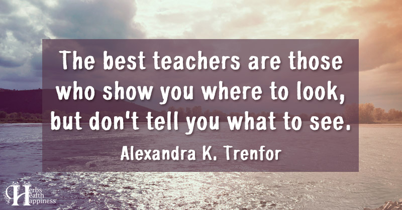 The Best Teachers Are Those Who Show You Where To Look - ø Eminently ...