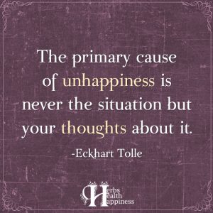 The Primary Cause Of Unhappiness Is Never The Situation - ø Eminently ...