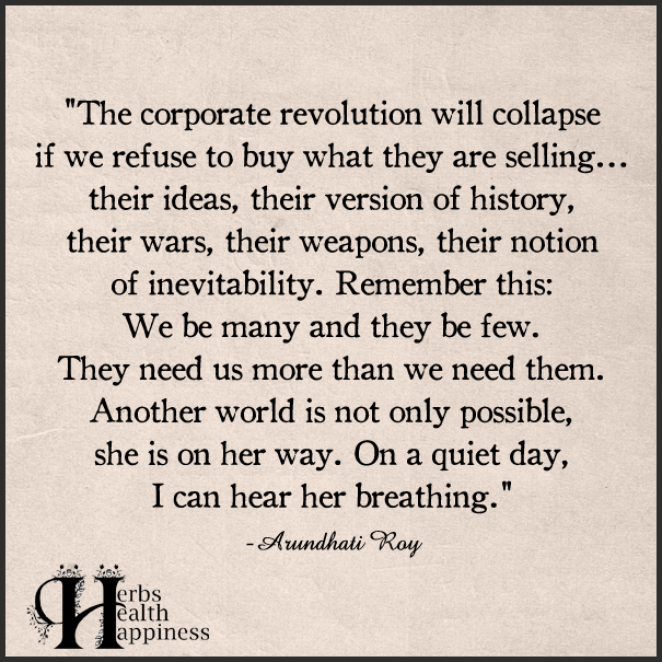 The corporate revolution will collapse