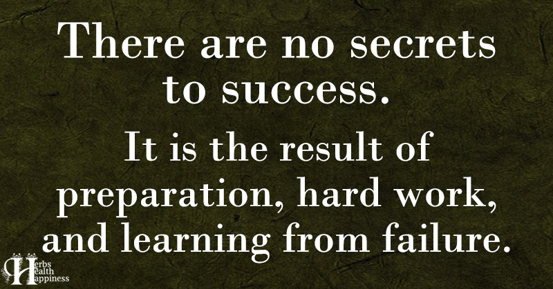 There Are No Secrets To Success - ø Eminently Quotable - Quotes - Funny ...