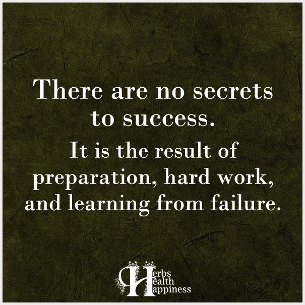 There-are-no-secrets-to-success