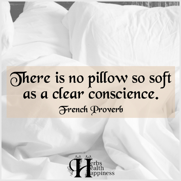 There-is-no-pillow-so-soft-as-a-clear-conscience