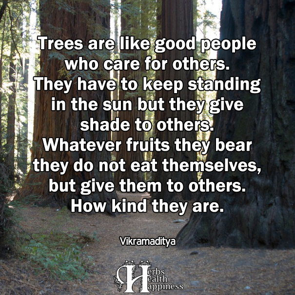Trees are like good people who care for others