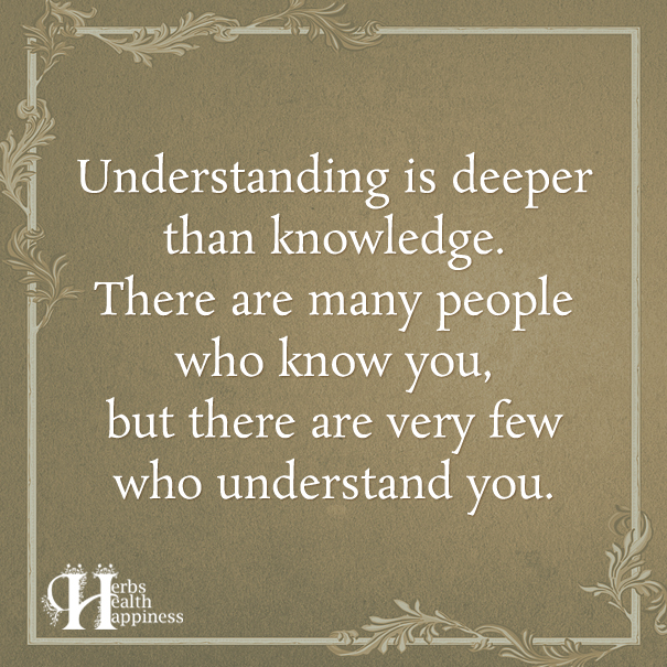 Understanding-Is-Deeper-Than-Knowledge
