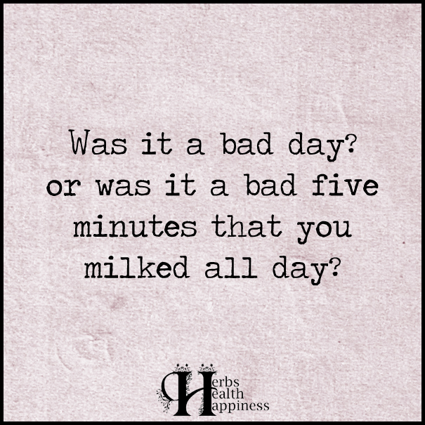 Was-it-a-bad-day-or-was-it-a-bad-five-minutes-that-you-milked-all-day