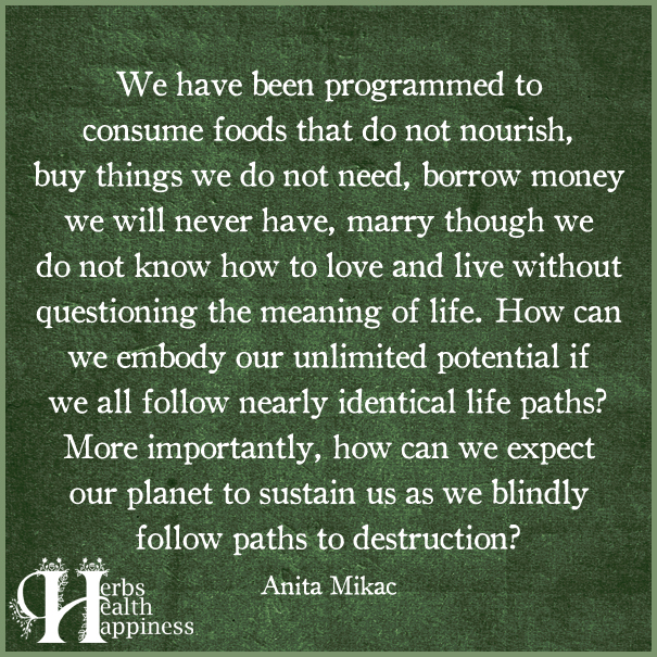 We-Have-Been-Programmed-To-Consume-Foods