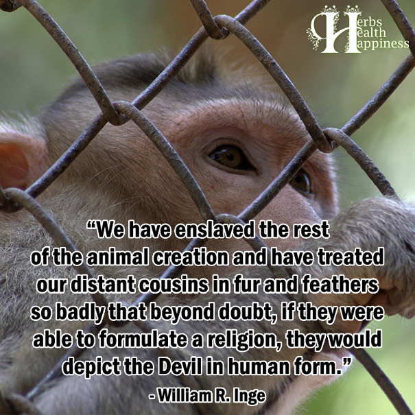We Have Enslaved The Rest Of The Animal Creation