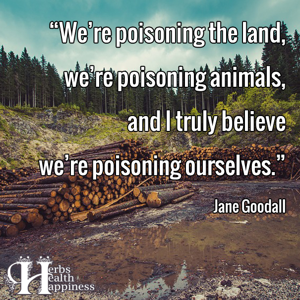We're Poisoning The Land