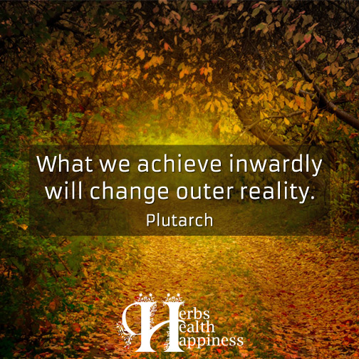 What-we-achieve-inwardly-will-change-outer-reality