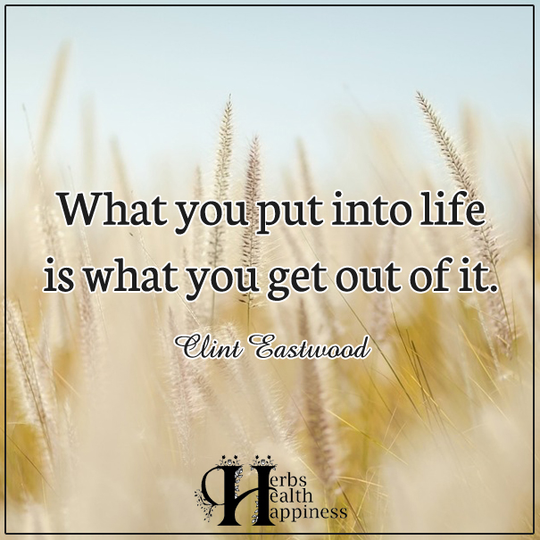 What-you-put-into-life-is-what-you-get-out-of-it
