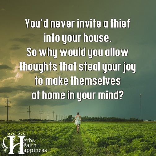 You'd-never-invite-a-thief-into-your-house
