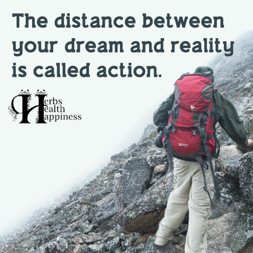 The-distance-between-your-dream-and-reality-is-called-action